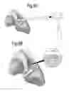Fig. 10 - Optimized solid substrates, tools for use with same and uses thereof for promoting cell and tissue growth