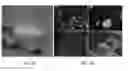 Fig. 03 - Methods for Development and Use of Minimally Polarized Function Cell Micro-Aggregate Units in Tissue Applications Using LGR4, LGR5, and LGR6 Expressing Epithelial Stem Cells
