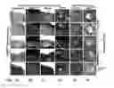 Fig. 04 - Methods for Development and Use of Minimally Polarized Function Cell Micro-Aggregate Units in Tissue Applications Using LGR4, LGR5, and LGR6 Expressing Epithelial Stem Cells