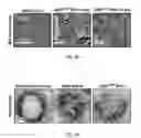 Fig. 06 - Methods for Development and Use of Minimally Polarized Function Cell Micro-Aggregate Units in Tissue Applications Using LGR4, LGR5, and LGR6 Expressing Epithelial Stem Cells