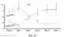Fig. 08 - Methods for Development and Use of Minimally Polarized Function Cell Micro-Aggregate Units in Tissue Applications Using LGR4, LGR5, and LGR6 Expressing Epithelial Stem Cells