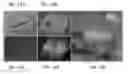 Fig. 22 - Methods for Development and Use of Minimally Polarized Function Cell Micro-Aggregate Units in Tissue Applications Using LGR4, LGR5, and LGR6 Expressing Epithelial Stem Cells