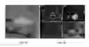 Fig. 03 - Methods related to minimally polarized functional units