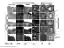 Fig. 04 - Methods related to minimally polarized functional units