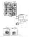 Fig. 05 - Methods related to minimally polarized functional units
