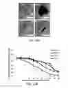 Fig. 15 - Methods related to minimally polarized functional units