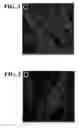 Fig. 04 - COMPOSITIONS AND METHODS FOR URINARY BLADDER REGENERATION