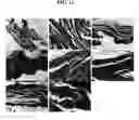 Fig. 14 - COMPOSITIONS AND METHODS FOR URINARY BLADDER REGENERATION