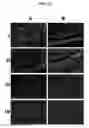 Fig. 15 - COMPOSITIONS AND METHODS FOR URINARY BLADDER REGENERATION