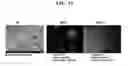 Fig. 18 - COMPOSITIONS AND METHODS FOR URINARY BLADDER REGENERATION