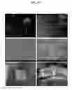 Fig. 22 - COMPOSITIONS AND METHODS FOR URINARY BLADDER REGENERATION