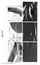 Fig. 23 - COMPOSITIONS AND METHODS FOR URINARY BLADDER REGENERATION