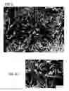 Fig. 06 - Drug coating layer