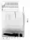 Fig. 03 - Reduction of implant infection via tunable stimulation of localized adaptive immune response