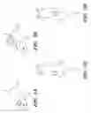 Fig. 04 - Microfluidic intravital window