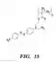 Fig. 14 - Microfluidic intravital window