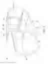 Fig. 04 - Oscillating positive respiratory pressure device
