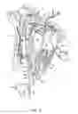 Fig. 04 - SYSTEMS AND METHODS FOR PREVENTING, DIAGNOSING, AND/OR TREATING ONE OR MORE MEDICAL CONDITIONS VIA NEUROMODULATION