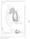 Fig. 05 - SYSTEMS AND METHODS FOR PREVENTING, DIAGNOSING, AND/OR TREATING ONE OR MORE MEDICAL CONDITIONS VIA NEUROMODULATION