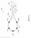 Fig. 06 - Medical systems and methods for modulating nerves