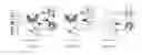 Fig. 49 - METHODS AND COMPOSITIONS FOR TREATING MENTAL DISORDERS AND CONDITIONS