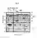 Fig. 07 - Normal Tissue  Toxicity Reducing Microbeam-Broadbeam  Radiotherapy, Skin's Radio-Response  Immunotherapy and Mutated Molecular Apheresis Combined Cancer Treatments