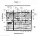 Fig. 08 - Normal Tissue  Toxicity Reducing Microbeam-Broadbeam  Radiotherapy, Skin's Radio-Response  Immunotherapy and Mutated Molecular Apheresis Combined Cancer Treatments