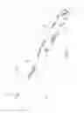 Fig. 07 - Softball bat with unified tip