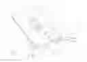 Fig. 01 - GOLF PUTTING TRAINING DEVICE