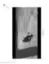Fig. 07 - Systems and methods for customized camera views in virtualized environments