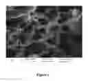 Fig. 02 - Method for preparing the network-pore polyvinylidene fluoride membrane based on polyvinyl alcohol gel
