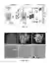 Fig. 02 - Catalyst nanoarchitectures with high activity and stability