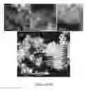 Fig. 30 - Catalyst nanoarchitectures with high activity and stability