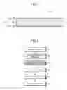 Fig. 02 - ALUMINUM COMPOSITE MATERIAL AND METHOD FOR MANUFACTURING ALUMINUM COMPOSITE MATERIAL
