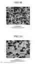 Fig. 11 - ALUMINUM COMPOSITE MATERIAL AND METHOD FOR MANUFACTURING ALUMINUM COMPOSITE MATERIAL