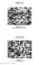 Fig. 13 - ALUMINUM COMPOSITE MATERIAL AND METHOD FOR MANUFACTURING ALUMINUM COMPOSITE MATERIAL