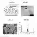Fig. 02 - Nanoporous gold nanoparticles as high-payload molecular cargos, photothermal/photodynamic therapeutic agents, and ultrahigh surface-to- volume plasmonic sensors
