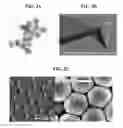 Fig. 03 - Nanoporous gold nanoparticles as high-payload molecular cargos, photothermal/photodynamic therapeutic agents, and ultrahigh surface-to- volume plasmonic sensors
