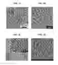 Fig. 04 - Nanoporous gold nanoparticles as high-payload molecular cargos, photothermal/photodynamic therapeutic agents, and ultrahigh surface-to- volume plasmonic sensors