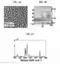 Fig. 05 - Nanoporous gold nanoparticles as high-payload molecular cargos, photothermal/photodynamic therapeutic agents, and ultrahigh surface-to- volume plasmonic sensors
