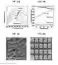 Fig. 08 - Nanoporous gold nanoparticles as high-payload molecular cargos, photothermal/photodynamic therapeutic agents, and ultrahigh surface-to- volume plasmonic sensors