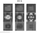 Fig. 13 - Nanoporous gold nanoparticles as high-payload molecular cargos, photothermal/photodynamic therapeutic agents, and ultrahigh surface-to- volume plasmonic sensors
