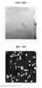 Fig. 18 - Nanoporous gold nanoparticles as high-payload molecular cargos, photothermal/photodynamic therapeutic agents, and ultrahigh surface-to- volume plasmonic sensors
