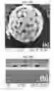 Fig. 23 - Nanoporous gold nanoparticles as high-payload molecular cargos, photothermal/photodynamic therapeutic agents, and ultrahigh surface-to- volume plasmonic sensors