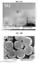 Fig. 27 - Nanoporous gold nanoparticles as high-payload molecular cargos, photothermal/photodynamic therapeutic agents, and ultrahigh surface-to- volume plasmonic sensors