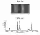 Fig. 29 - Nanoporous gold nanoparticles as high-payload molecular cargos, photothermal/photodynamic therapeutic agents, and ultrahigh surface-to- volume plasmonic sensors