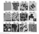 Fig. 32 - Nanoporous gold nanoparticles as high-payload molecular cargos, photothermal/photodynamic therapeutic agents, and ultrahigh surface-to- volume plasmonic sensors