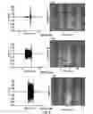 Fig. 05 - Additive manufacturing apparatus and method