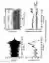 Fig. 09 - Additive manufacturing apparatus and method
