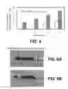 Fig. 04 - Hybrid tool with both fixed-abrasive and loose-abrasive phases